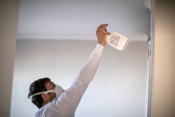 Best Same-Day Mold Removal  in Harbison Nyon, CA