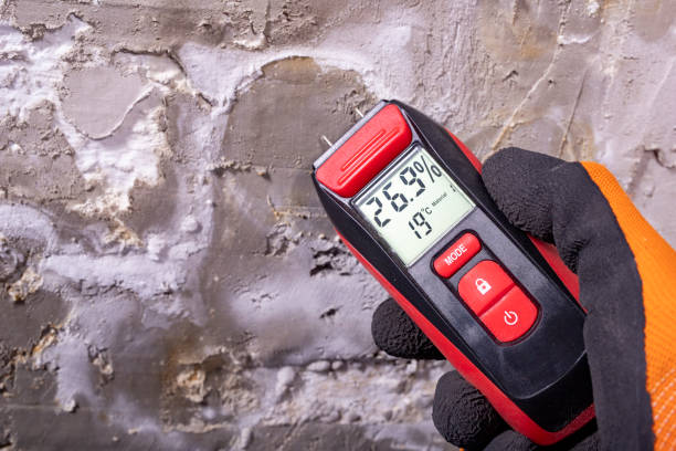 Best Mold Remediation Services  in Harbison Nyon, CA